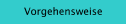 Vorgehensweise